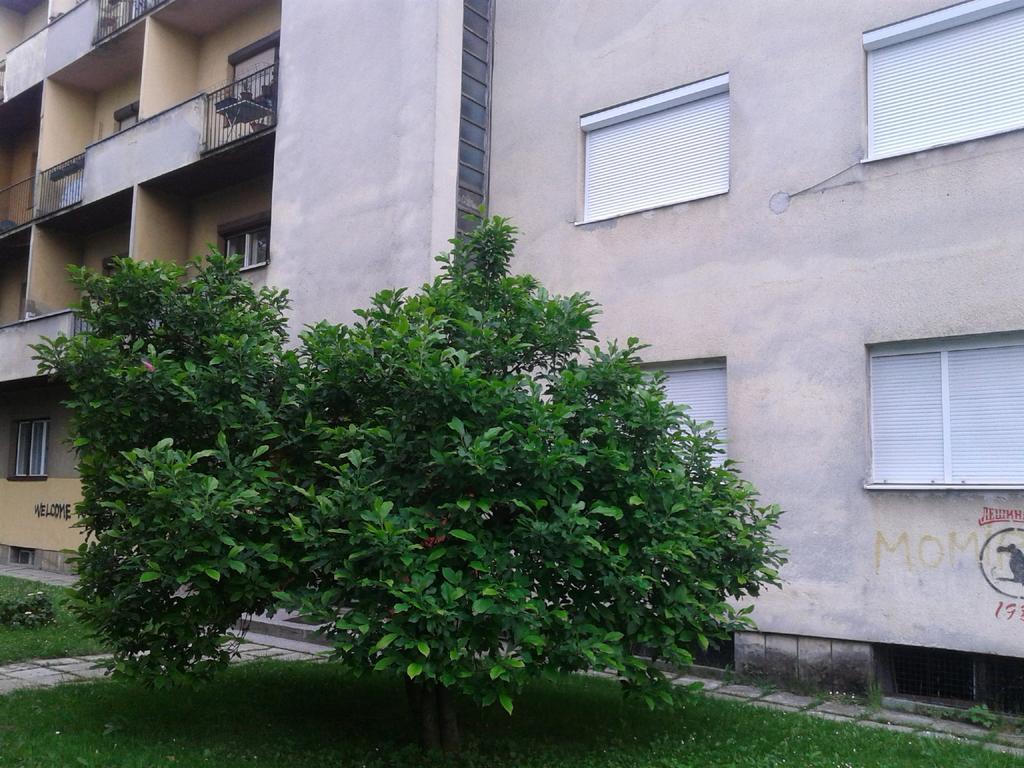 Apartment Ma 2 , 3 Rd Floor Banja Luka Exterior photo